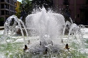 28th Jun 2011 - Refreshing Fountains