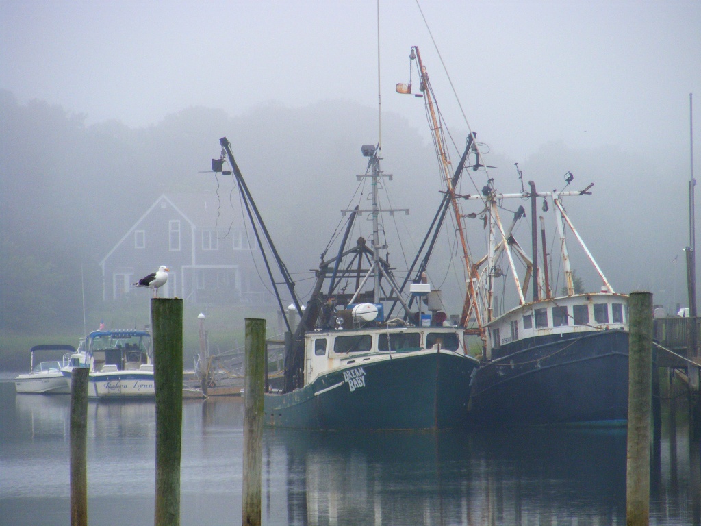 Fog on Rock Harbor by lauriehiggins