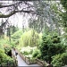 Crystal Springs Rhododendron Garden by hjbenson