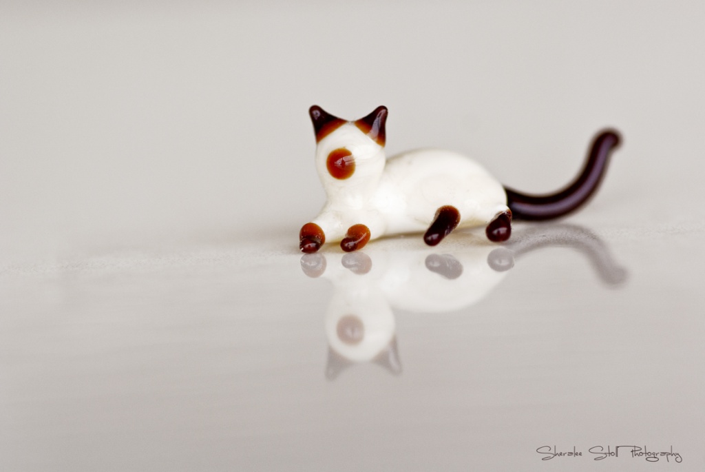 Venetian Kitty by bella_ss