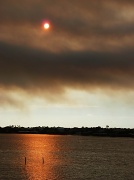 25th Jun 2011 - Wildfire