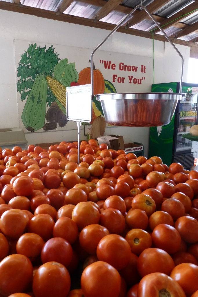 Tomatoes by margonaut