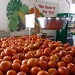 Tomatoes by margonaut