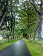 29th Jun 2011 - Pittodrie House Drive