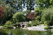 29th Jun 2011 - Japanese Gardens