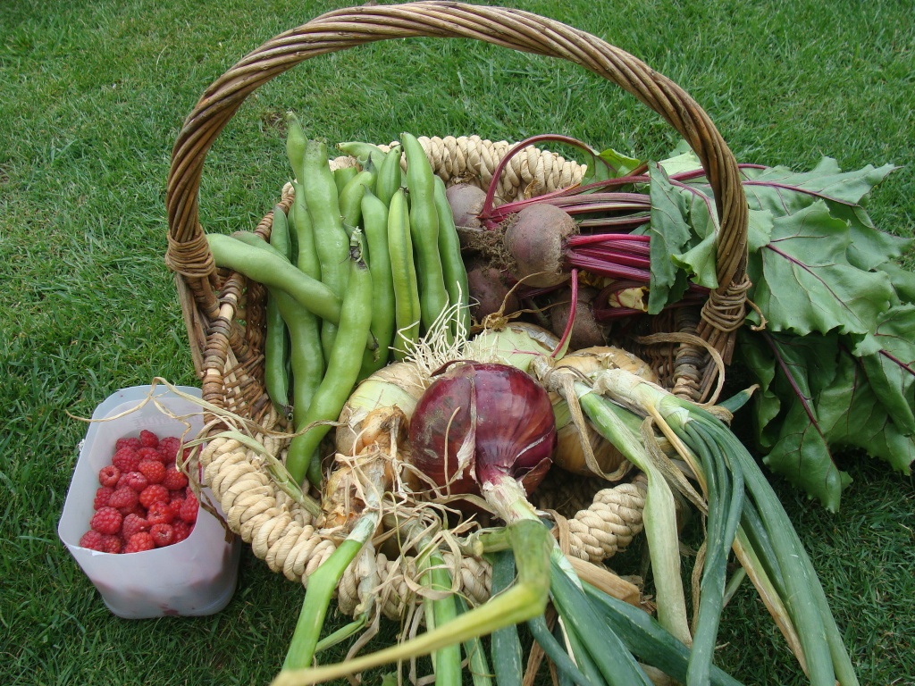 Veggie basket by busylady