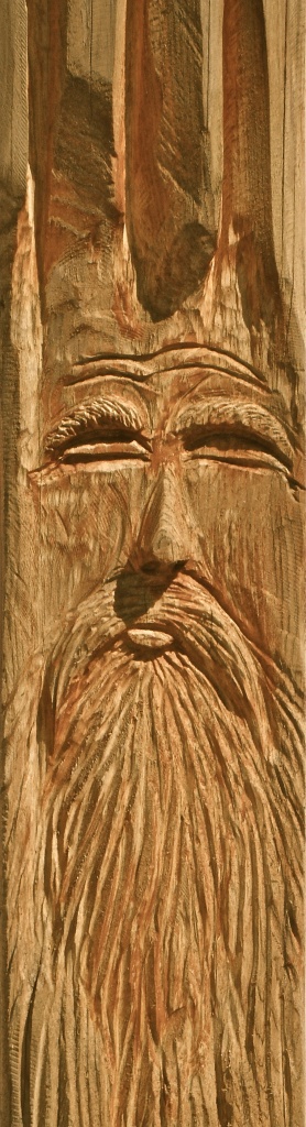 Driftwood Carving by pamelaf
