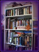 1st Jul 2011 - Bookcase1