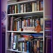 Bookcase1 by mozette