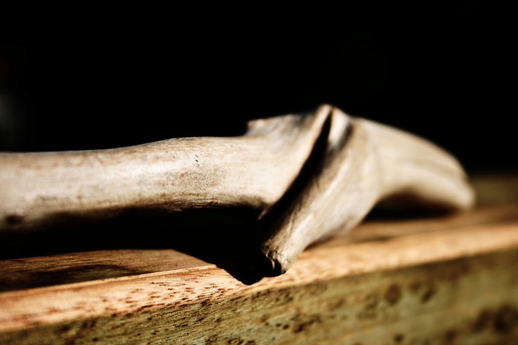 driftwood wand by corymbia