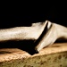 driftwood wand by corymbia