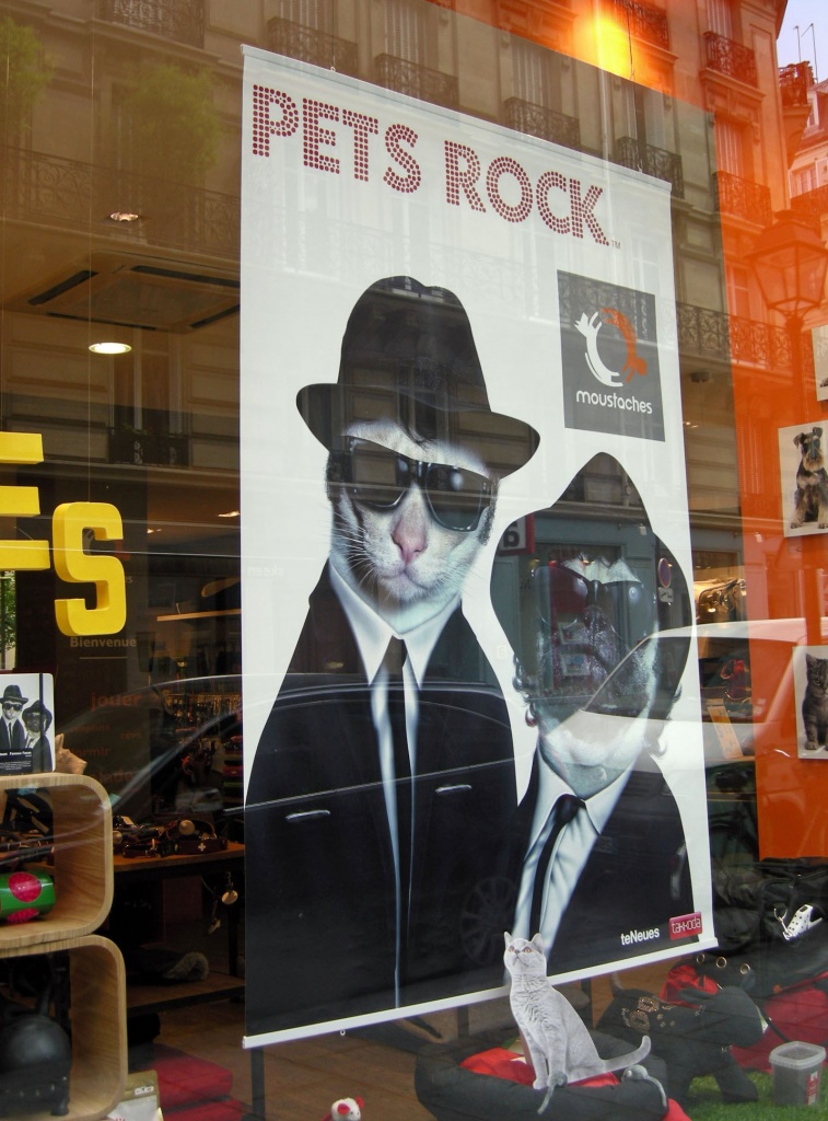 Just for fun: Pets rock by parisouailleurs