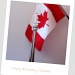 Happy Birthday, Canada! by summerfield