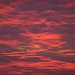 Sunset by dulciknit