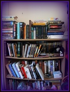 2nd Jul 2011 - Bookcase2