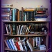 Bookcase2 by mozette