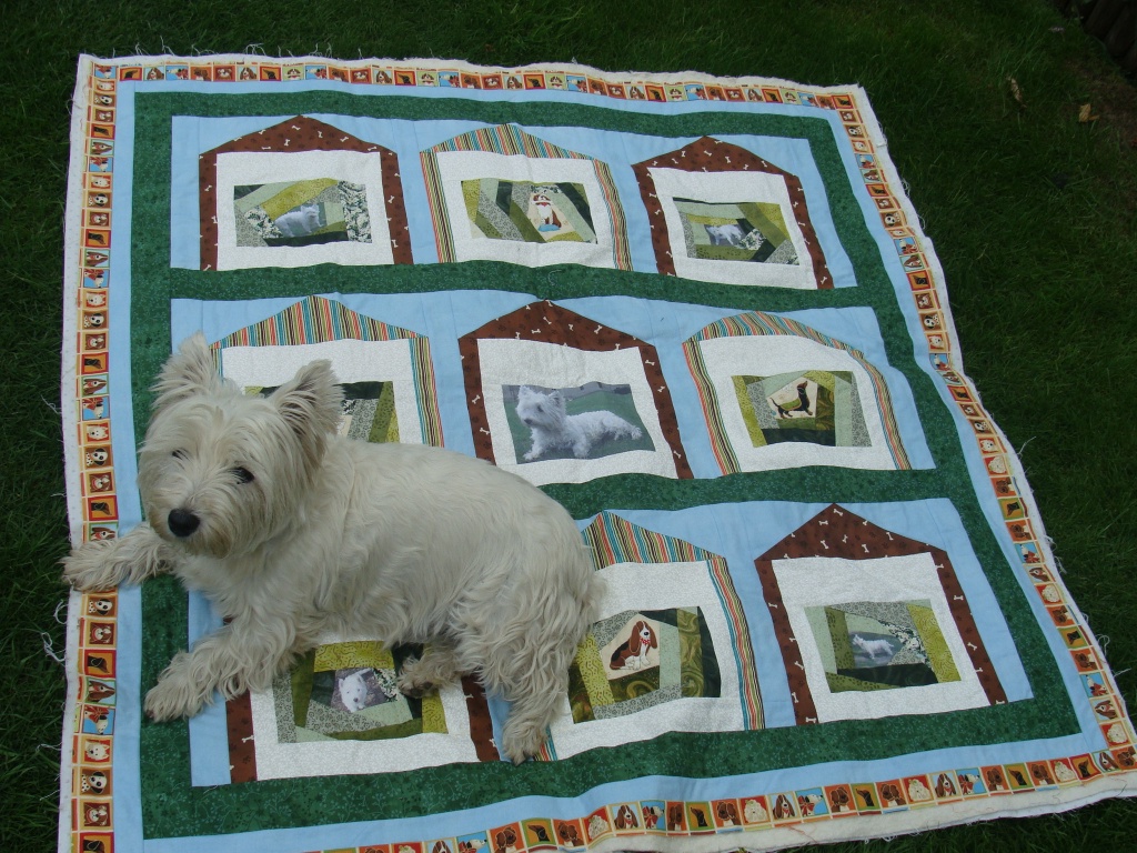 Patchwork for a pampered pooch! by busylady