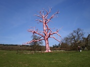 14th Apr 2010 - Pink tree