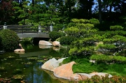 2nd Jul 2011 - 日本の庭