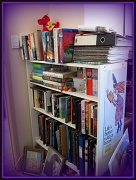 3rd Jul 2011 - Bookcase3