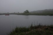 26th Jun 2011 - Fog on The Cape