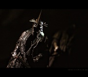 3rd Jul 2011 -  Lord of the Nazgûl