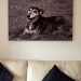 The canvas on my wall ...another whippet by phil_howcroft