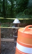 23rd Jun 2011 - fire hydrant