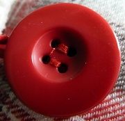 5th Jul 2011 - Big red button!