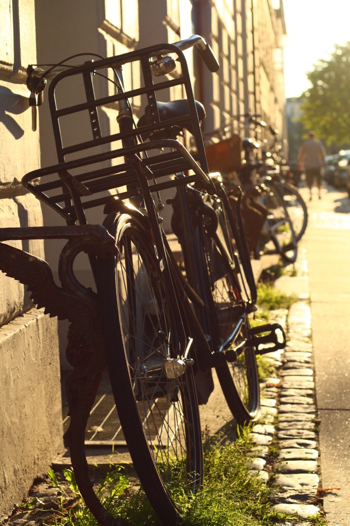 Copenhagen = bikes by lily