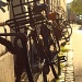 Copenhagen = bikes by lily