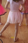 18th Jun 2011 - Tiny Dancers