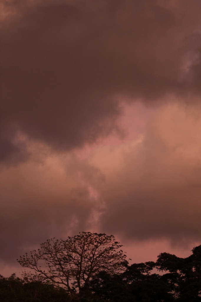 There's a storm coming. Dawn this morning from my balcony, everything was bathed in a pink glow by lbmcshutter