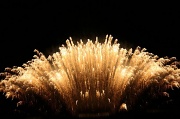6th Jul 2011 - Fireworks shower.