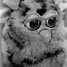 Little Furby Is A Pain by digitalrn
