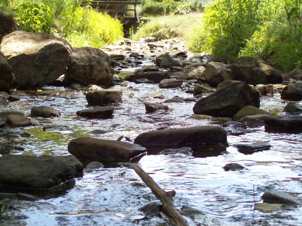Creek by julie