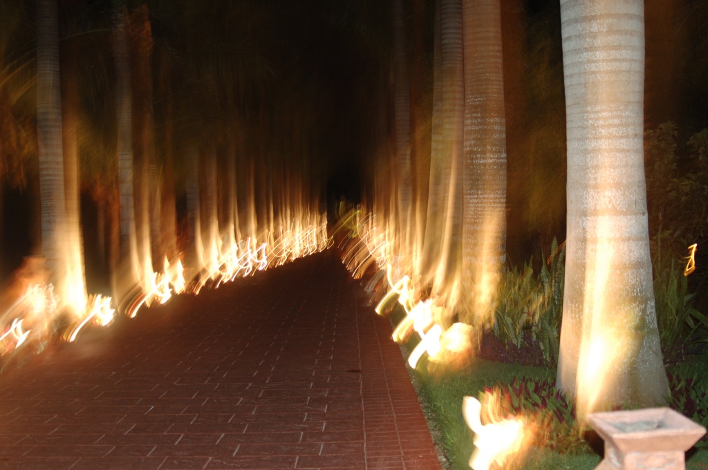 Lighted pathway by kdrinkie