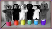 7th Jul 2011 - A rainbow of glove puppets