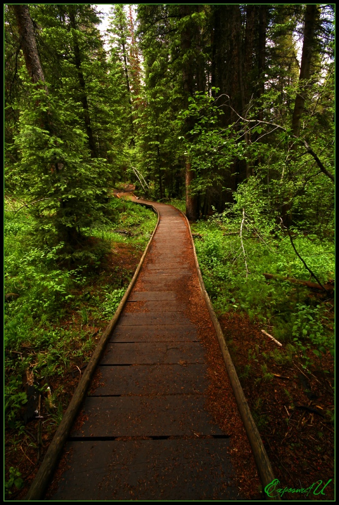 A Path to Hike by exposure4u