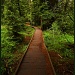 A Path to Hike by exposure4u