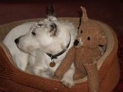 8th Jul 2011 - Snowy and Ted.