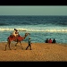 Beach Camel by harsha
