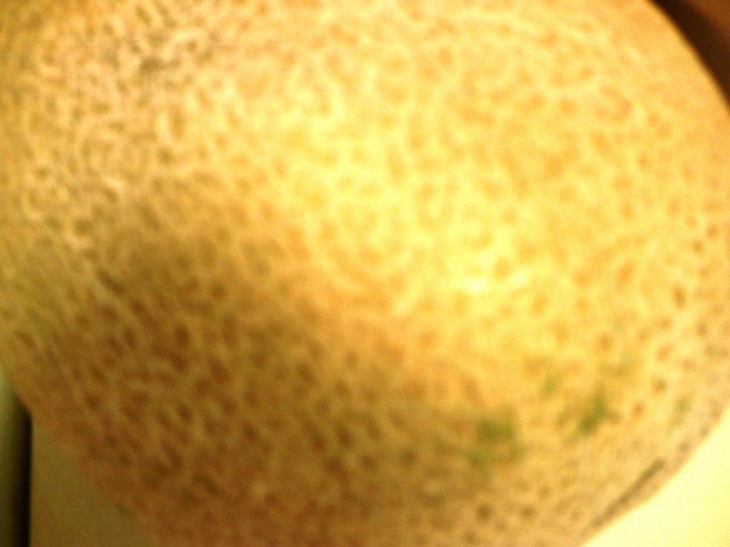 Cantaloupe 7.8.11 by sfeldphotos