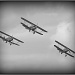 Duxford Flying Legends by judithdeacon