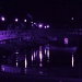 Night lights at Victoria park by sabresun