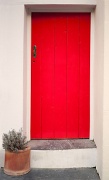 10th Jul 2011 - Red Door
