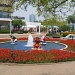 "In Bloom" at Oakbrook Shopping Center by kchuk