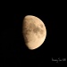 Moon After Dark by grannysue
