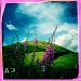Purple Hill Flowers by rich57