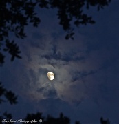 12th Jul 2011 - Moon clouds